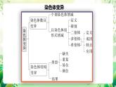 人教版高中生物必修二第5章《基因突变及其他变异》单元复习课件+单元解读课件+知识清单+单元测试