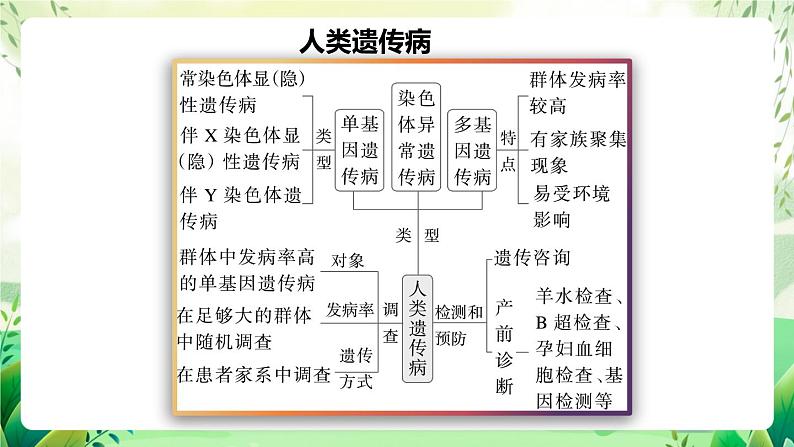 人教版高中生物必修二第5章《基因突变及其他变异》（单元复习课件）第5页