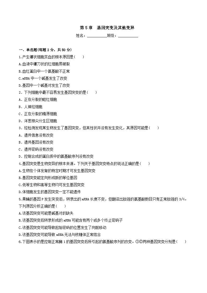 人教版高中生物必修二第5章《基因突变及其他变异》（单元检测）（原卷版）第1页