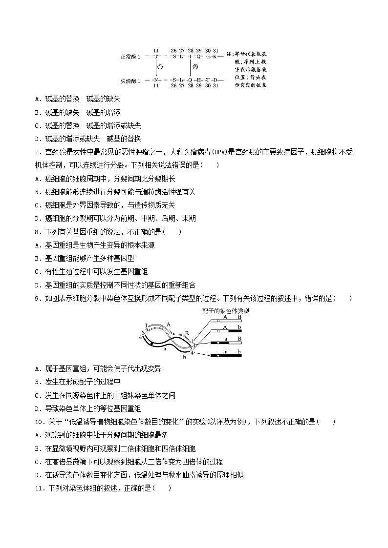 人教版高中生物必修二第5章《基因突变及其他变异》（单元检测）（原卷版）第2页