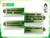 人教版高中生物必修二6.1《生物有共同祖先的证据》课件+教案+分层练习+导学案