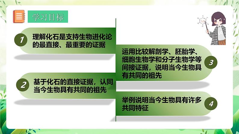 人教版高中生物必修二6.1《生物有共同祖先的证据》（教学课件）第3页