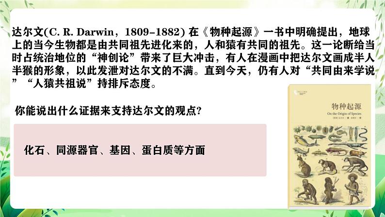 人教版高中生物必修二6.1《生物有共同祖先的证据》（教学课件）第6页