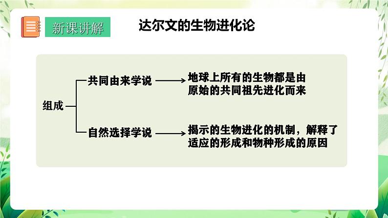 人教版高中生物必修二6.1《生物有共同祖先的证据》（教学课件）第7页