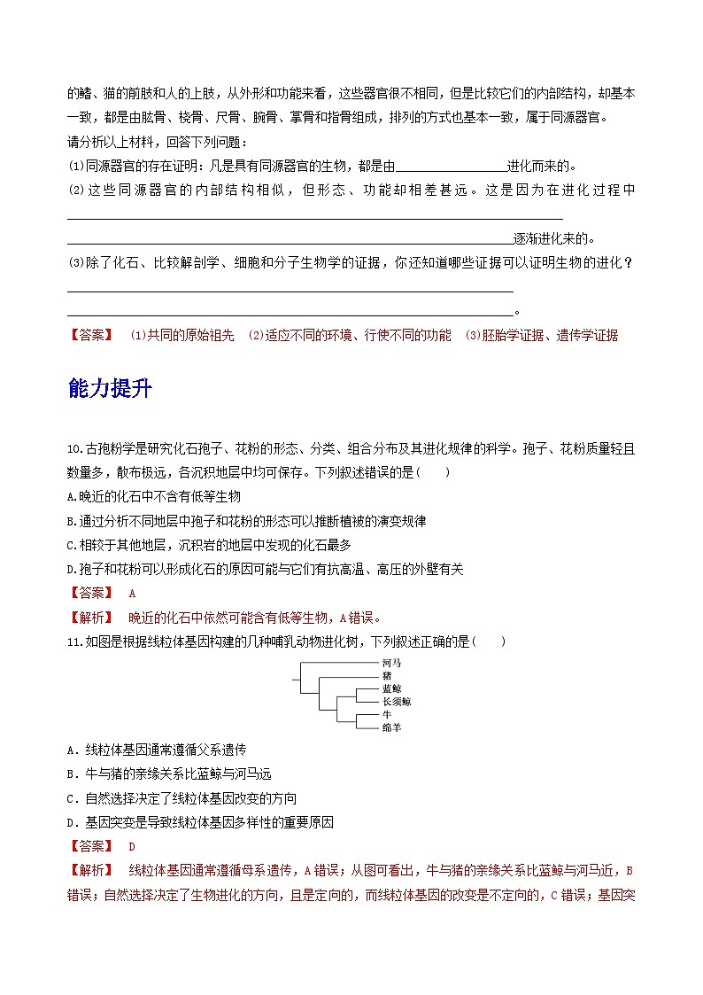 人教版高中生物必修二6.1《生物有共同祖先的证据》（分层作业）（解析版)第3页