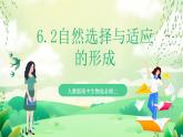 人教版高中生物必修二6.2《自然選擇與適應(yīng)的形成》課件+教案+分層練習(xí)+導(dǎo)學(xué)案