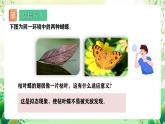 人教版高中生物必修二6.2《自然選擇與適應(yīng)的形成》課件+教案+分層練習(xí)+導(dǎo)學(xué)案