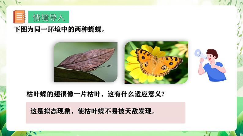 人教版高中生物必修二6.2《自然选择与适应的形成》（教学课件）第3页