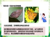 人教版高中生物必修二6.2《自然選擇與適應(yīng)的形成》課件+教案+分層練習(xí)+導(dǎo)學(xué)案