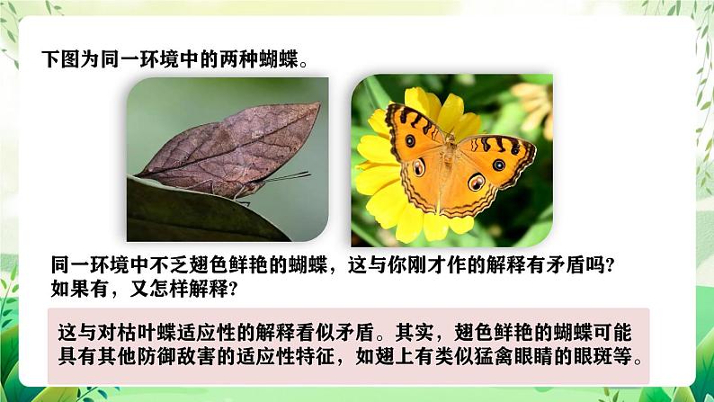 人教版高中生物必修二6.2《自然选择与适应的形成》（教学课件）第5页