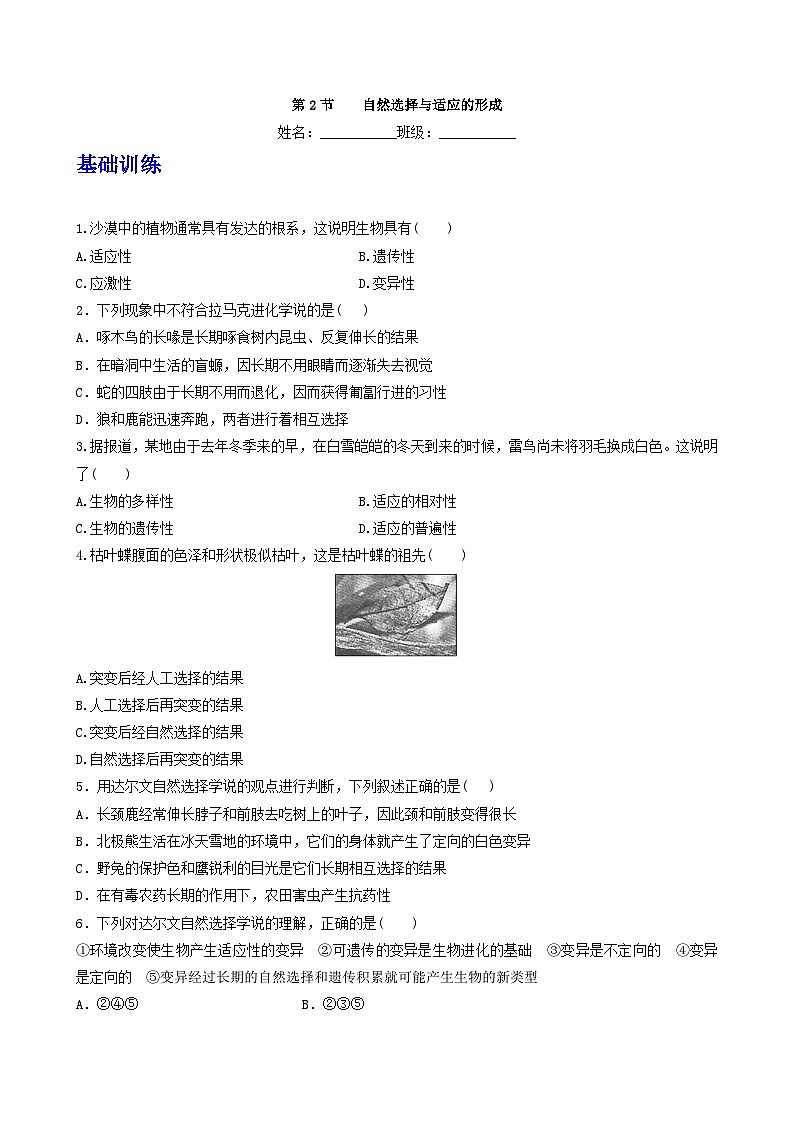 人教版高中生物必修二6.2《自然选择与适应的形成》（分层作业）（原卷版)第1页