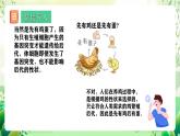 人教版高中生物必修二6.3.1《种群基因组成的变化》课件+教案+分层练习+导学案