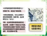 人教版高中生物必修二6.3.1《种群基因组成的变化》课件+教案+分层练习+导学案