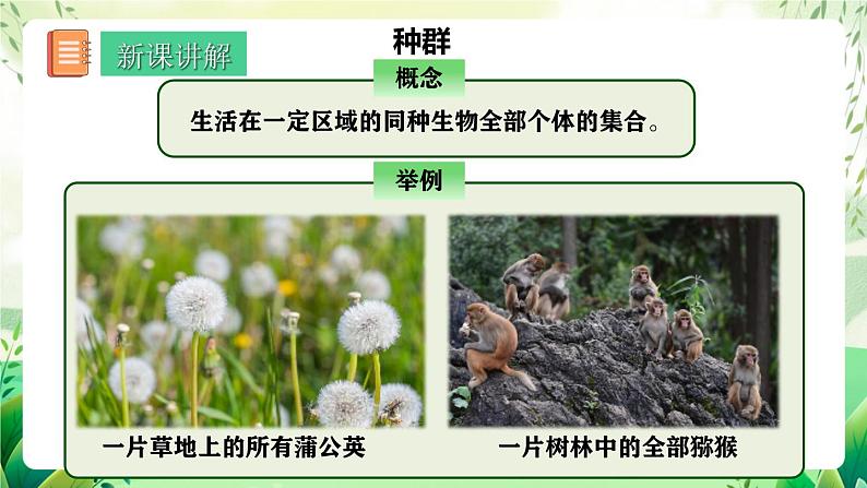 人教版高中生物必修二6.3.1《种群基因组成的变化》（教学课件）第6页