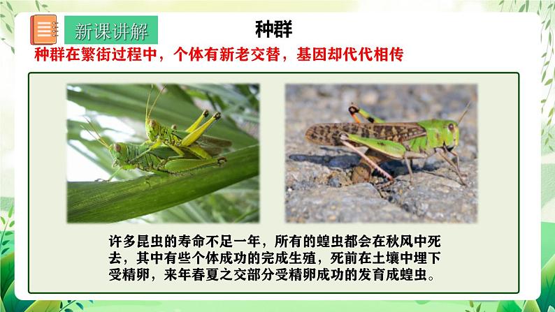 人教版高中生物必修二6.3.1《种群基因组成的变化》（教学课件）第7页