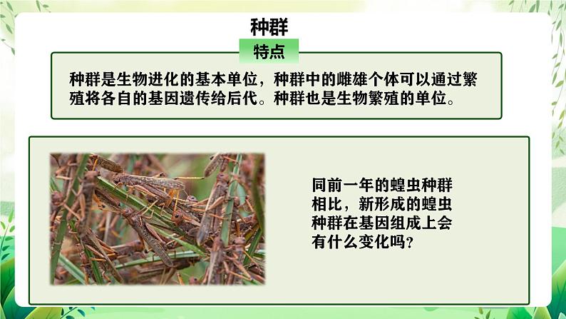 人教版高中生物必修二6.3.1《种群基因组成的变化》（教学课件）第8页