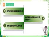 人教版高中生物必修二6.3.2《隔离在物种形成中的作用》课件+教案+分层练习+导学案