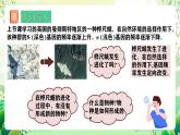 人教版高中生物必修二6.3.2《隔离在物种形成中的作用》课件+教案+分层练习+导学案