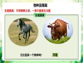 人教版高中生物必修二6.3.2《隔离在物种形成中的作用》课件+教案+分层练习+导学案