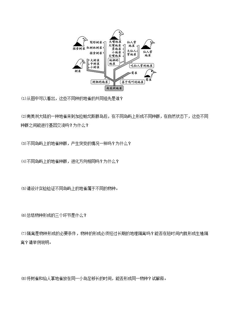人教版高中生物必修二6.3.2《隔离在物种形成中的作用》（导学案）（原卷版）第3页