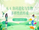 人教版高中生物必修二6.4《协同进化与生物多样性的形成》课件+教案+分层练习+导学案