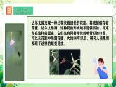 人教版高中生物必修二6.4《协同进化与生物多样性的形成》课件+教案+分层练习+导学案