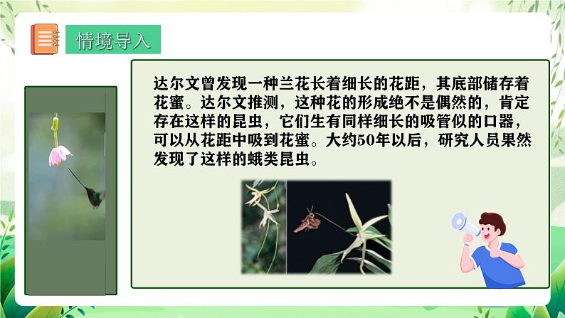 人教版高中生物必修二6.4《协同进化与生物多样性的形成》（教学课件）第3页