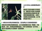 人教版高中生物必修二6.4《协同进化与生物多样性的形成》课件+教案+分层练习+导学案