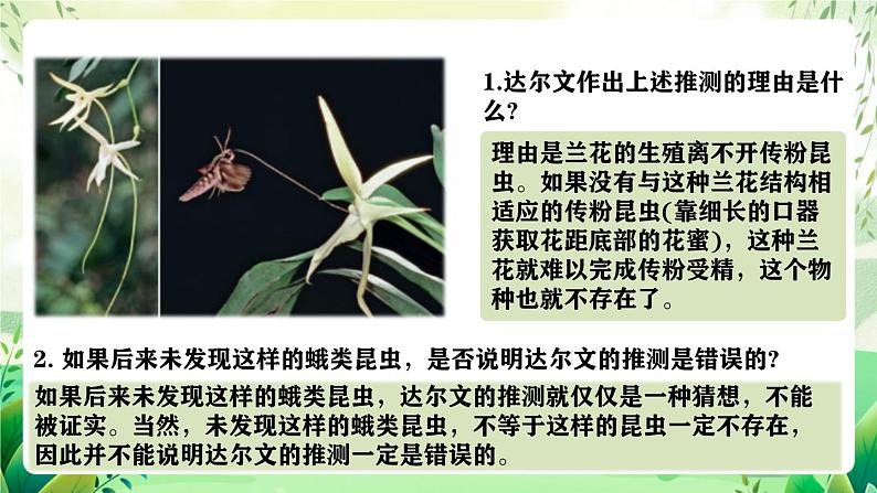 人教版高中生物必修二6.4《协同进化与生物多样性的形成》（教学课件）第4页