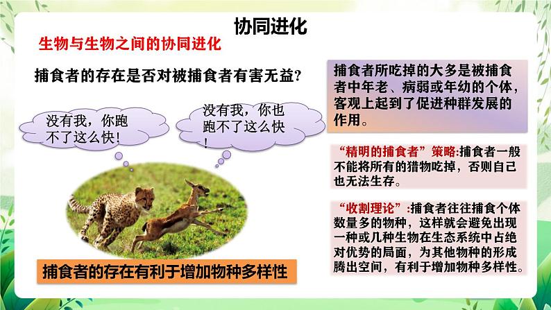 人教版高中生物必修二6.4《协同进化与生物多样性的形成》（教学课件）第7页