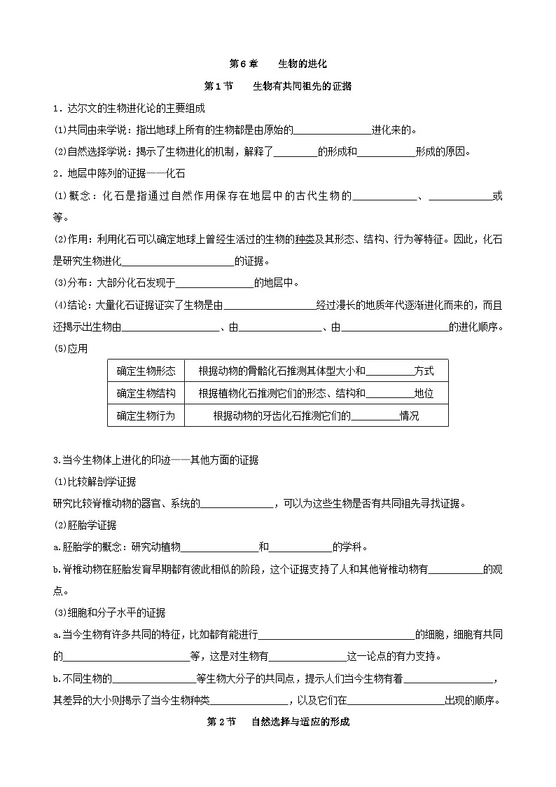 人教版高中生物必修二第6章《生物的进化》（单元知识清单）（默写版）第1页