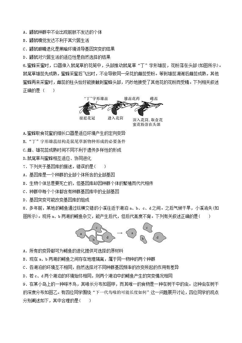人教版高中生物必修二第6章《生物的进化》（单元检测）（原卷版）第2页