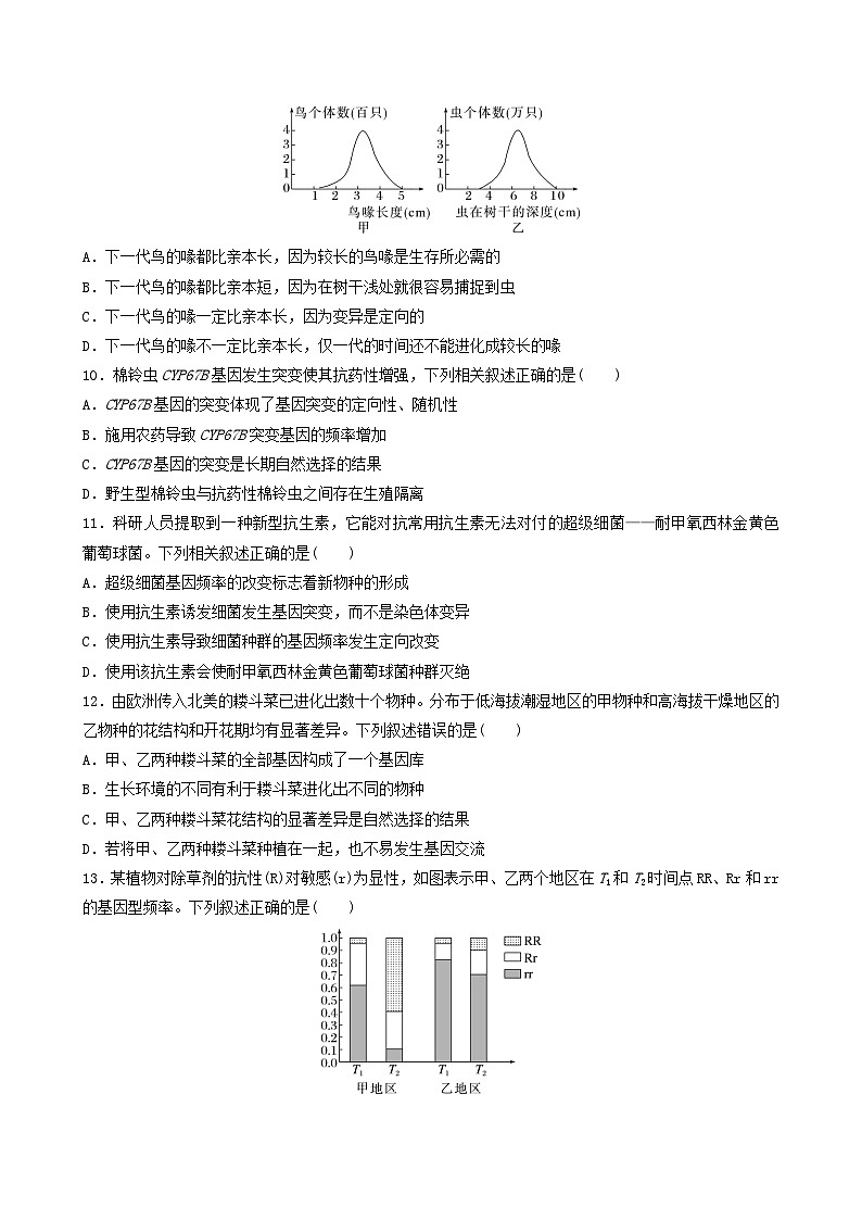 人教版高中生物必修二第6章《生物的进化》（单元检测）（原卷版）第3页