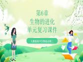 人教版高中生物必修二第6章《生物的进化》单元复习课件+单元解读课件+知识清单+单元测试