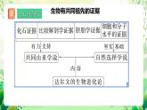 人教版高中生物必修二第6章《生物的进化》单元复习课件+单元解读课件+知识清单+单元测试