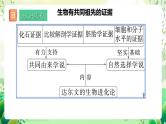 人教版高中生物必修二第6章《生物的进化》单元复习课件+单元解读课件+知识清单+单元测试
