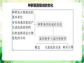 人教版高中生物必修二第6章《生物的进化》单元复习课件+单元解读课件+知识清单+单元测试