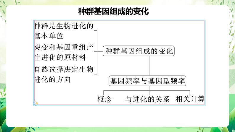 人教版高中生物必修二第6章《生物的进化》（单元复习课件）第4页