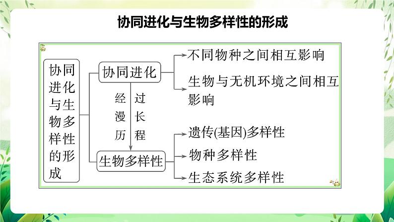 人教版高中生物必修二第6章《生物的进化》（单元复习课件）第6页