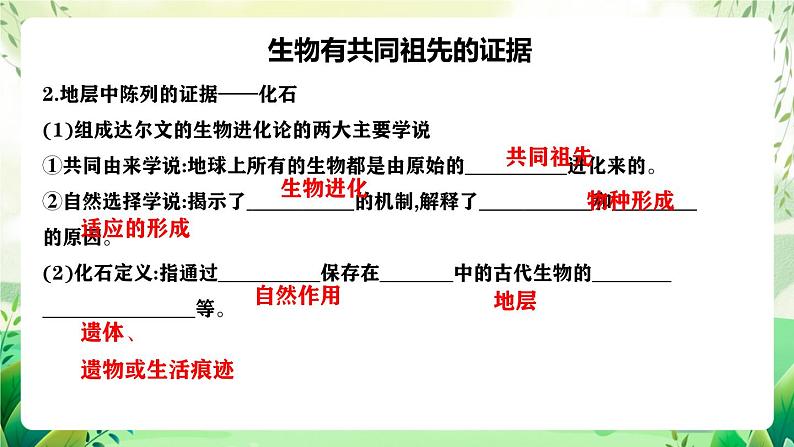 人教版高中生物必修二第6章《生物的进化》（单元复习课件）第8页