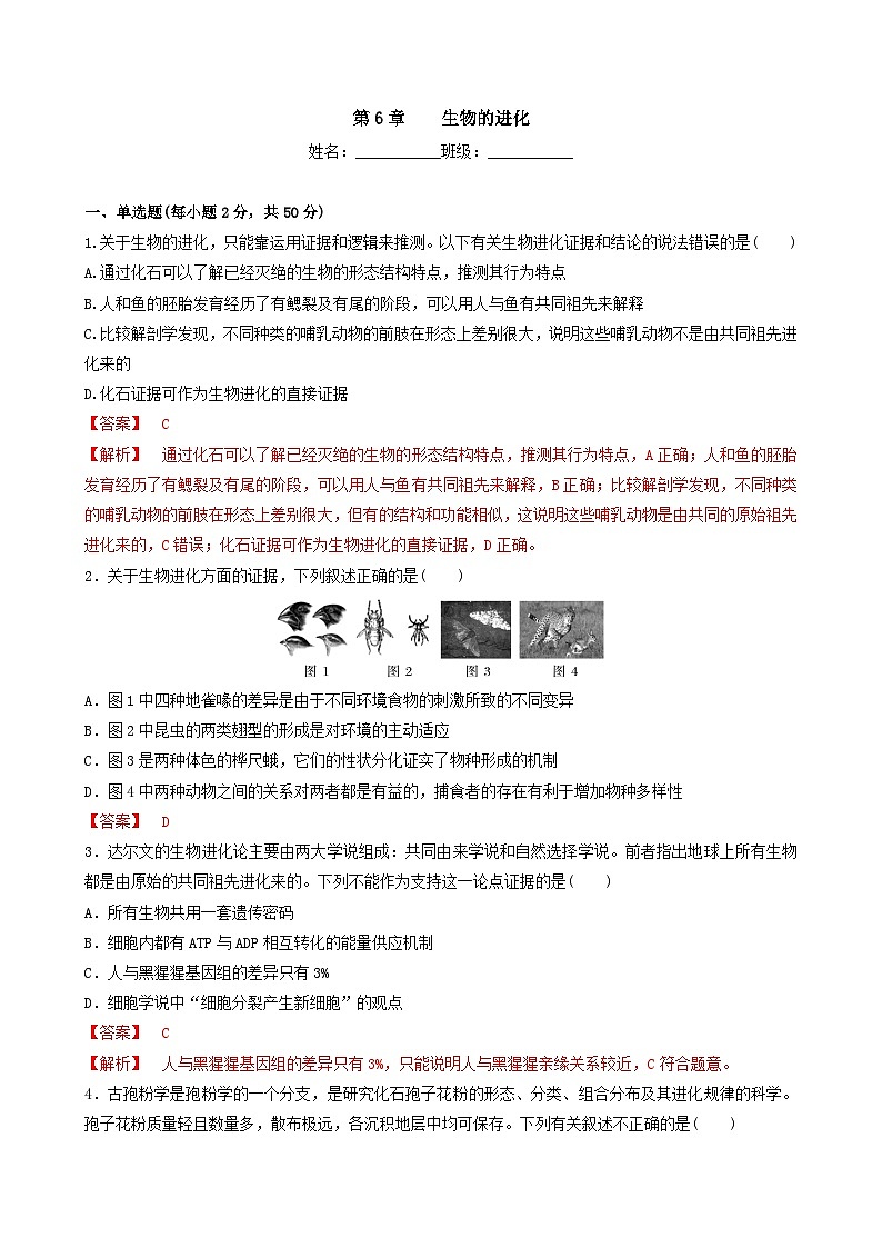 人教版高中生物必修二第6章《生物的进化》（单元检测）（解析版）第1页