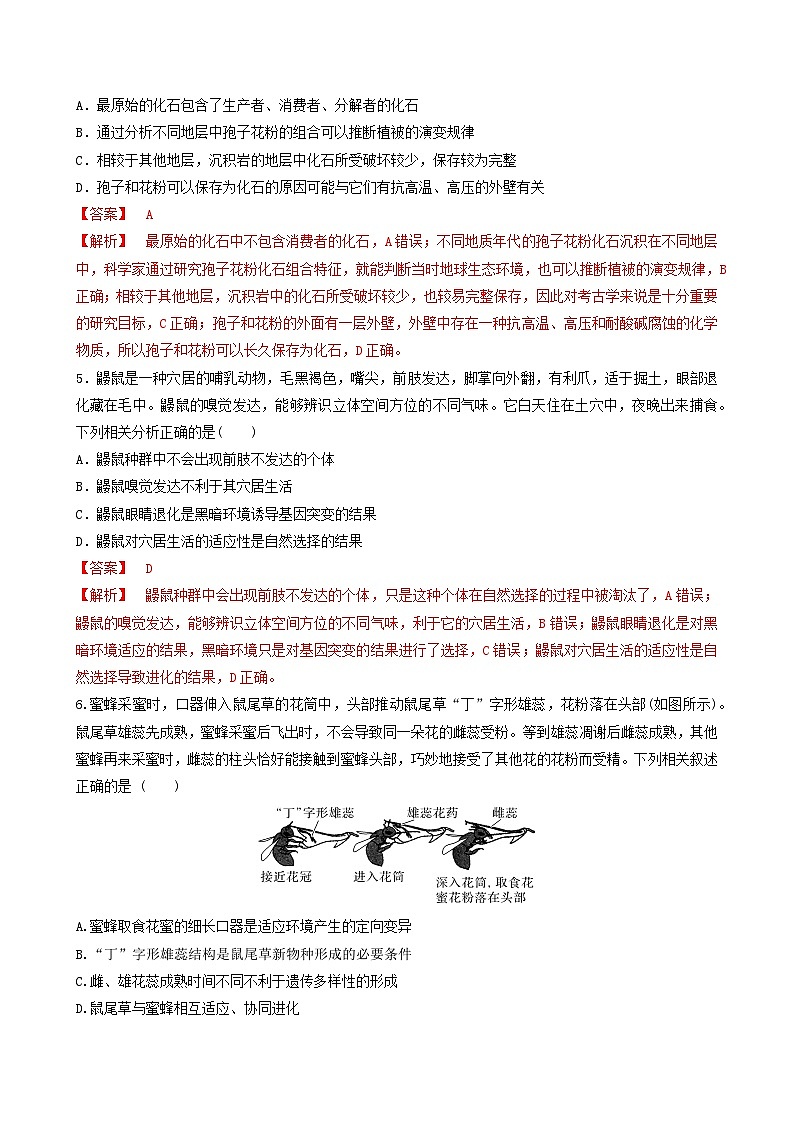 人教版高中生物必修二第6章《生物的进化》（单元检测）（解析版）第2页