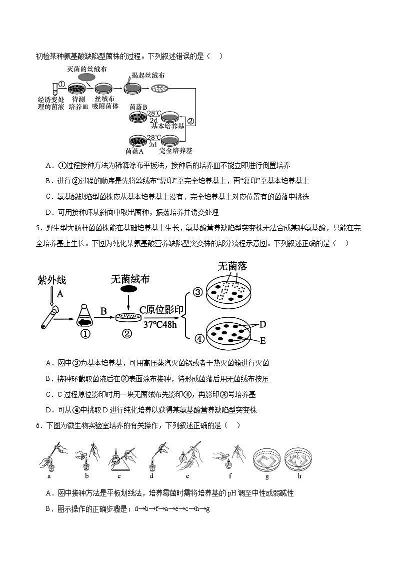 人教版高中生物选择性必修三1.2《微生物的培养技术及应用》（第1课时）分层作业（原卷版）第2页
