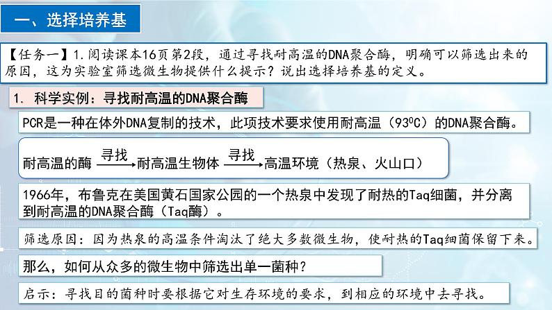 人教版高中生物选择性必修三1.2《微生物的培养技术及应用》（第2课时）（教学课件）第5页