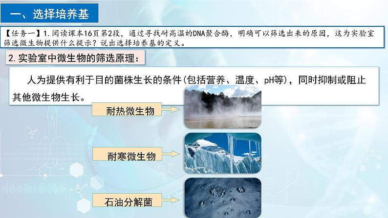 人教版高中生物选择性必修三1.2《微生物的培养技术及应用》（第2课时）（教学课件）第6页