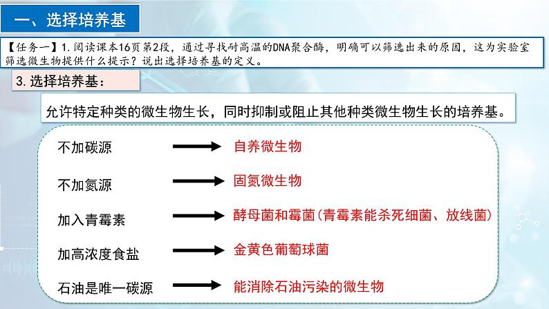 人教版高中生物选择性必修三1.2《微生物的培养技术及应用》（第2课时）（教学课件）第7页