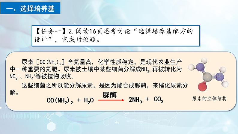 人教版高中生物选择性必修三1.2《微生物的培养技术及应用》（第2课时）（教学课件）第8页