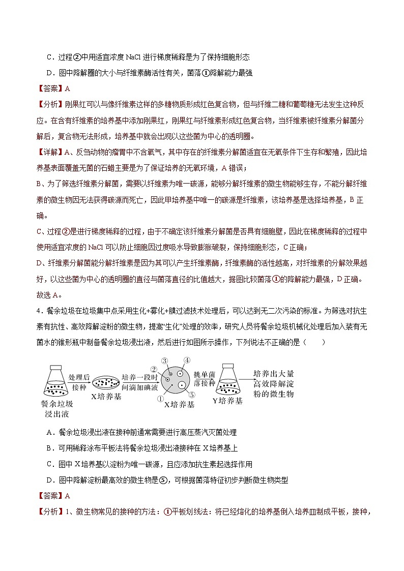 人教版高中生物选择性必修三1.2《微生物的培养技术及应用》（第2课时）分层作业（解析版）第3页