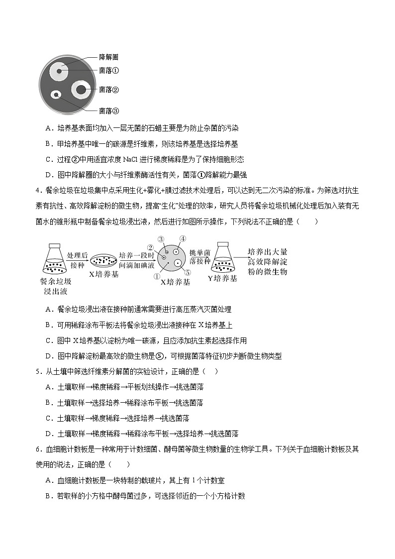 人教版高中生物选择性必修三1.2《微生物的培养技术及应用》（第2课时）分层作业（原卷版）第2页