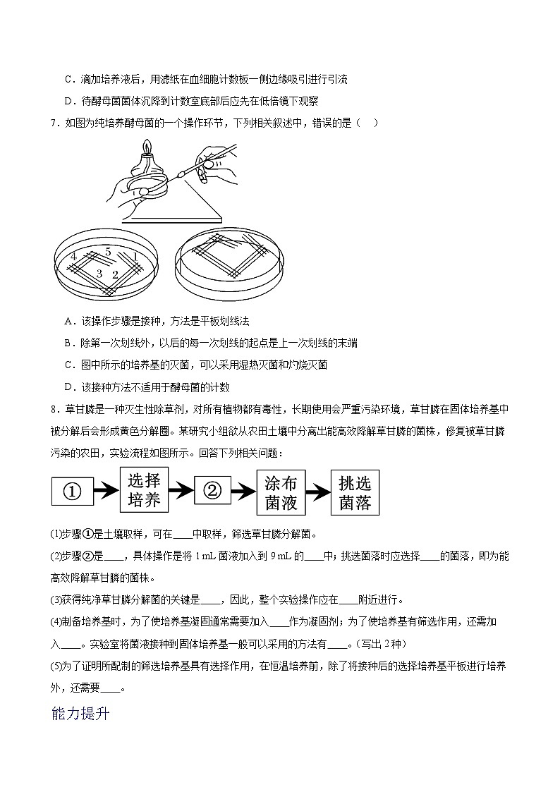 人教版高中生物选择性必修三1.2《微生物的培养技术及应用》（第2课时）分层作业（原卷版）第3页